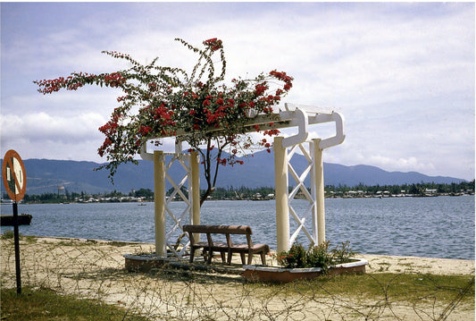 Harbor View Bench