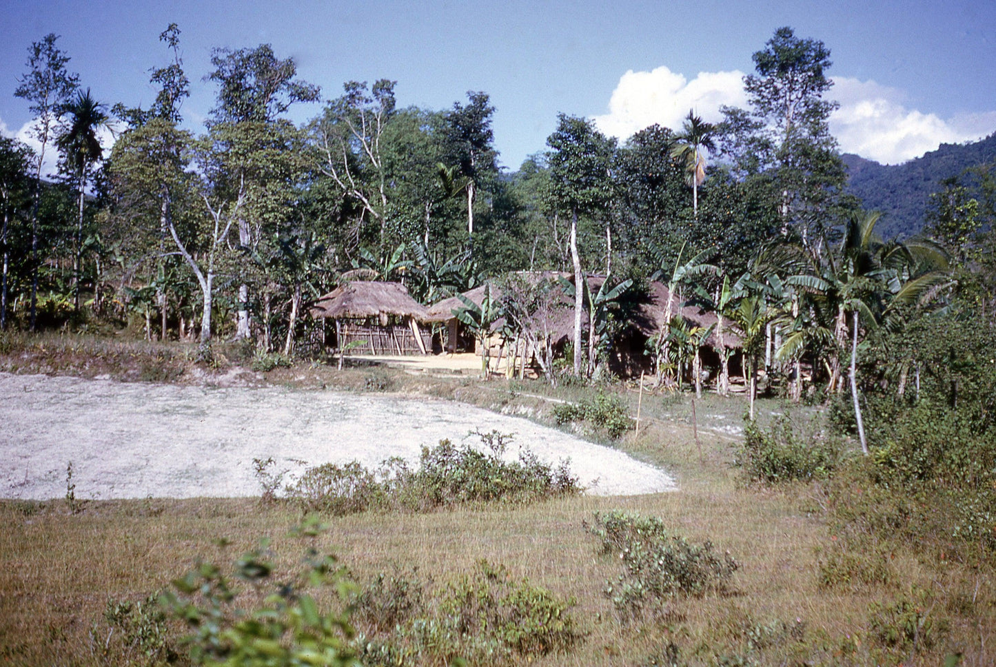 Hut & Rice Paddy Dry Season